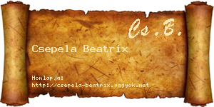 Csepela Beatrix névjegykártya